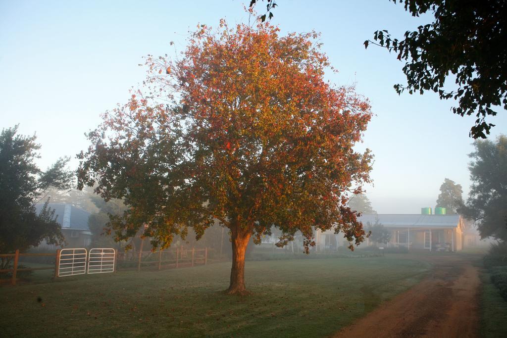 דנדי Sneezewood Farm Bed&Breakfast And Self-Catering Cottage מראה חיצוני תמונה
