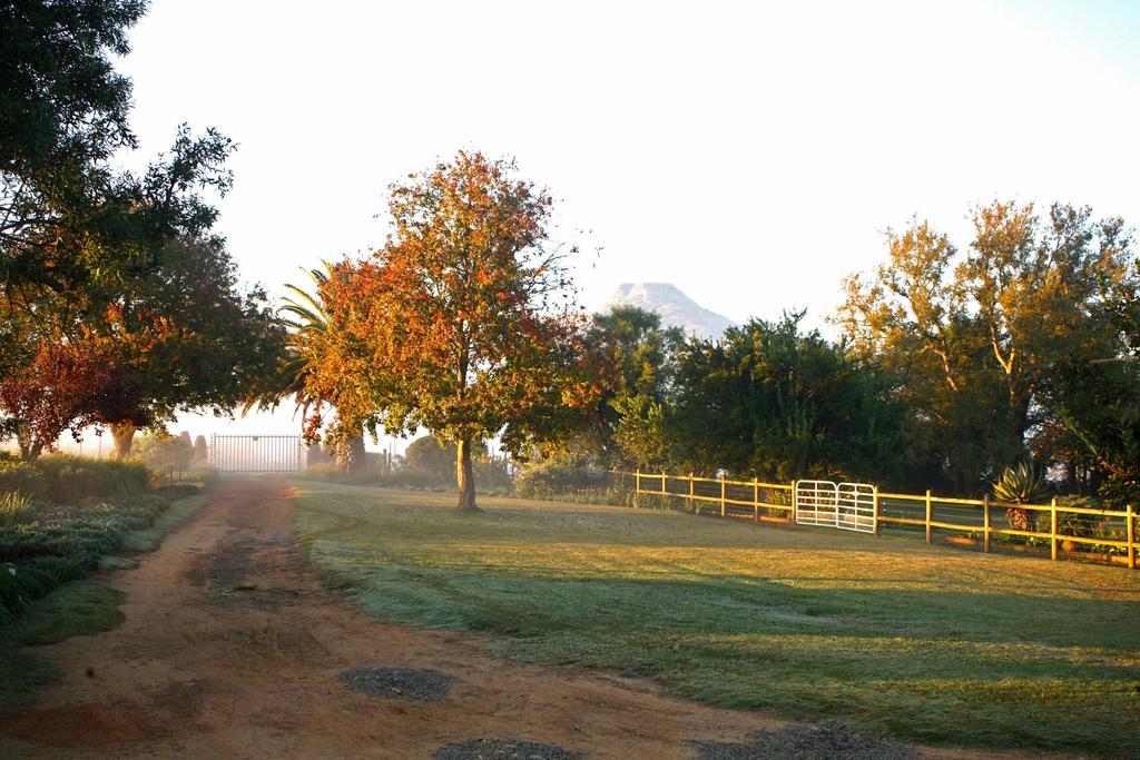 דנדי Sneezewood Farm Bed&Breakfast And Self-Catering Cottage מראה חיצוני תמונה