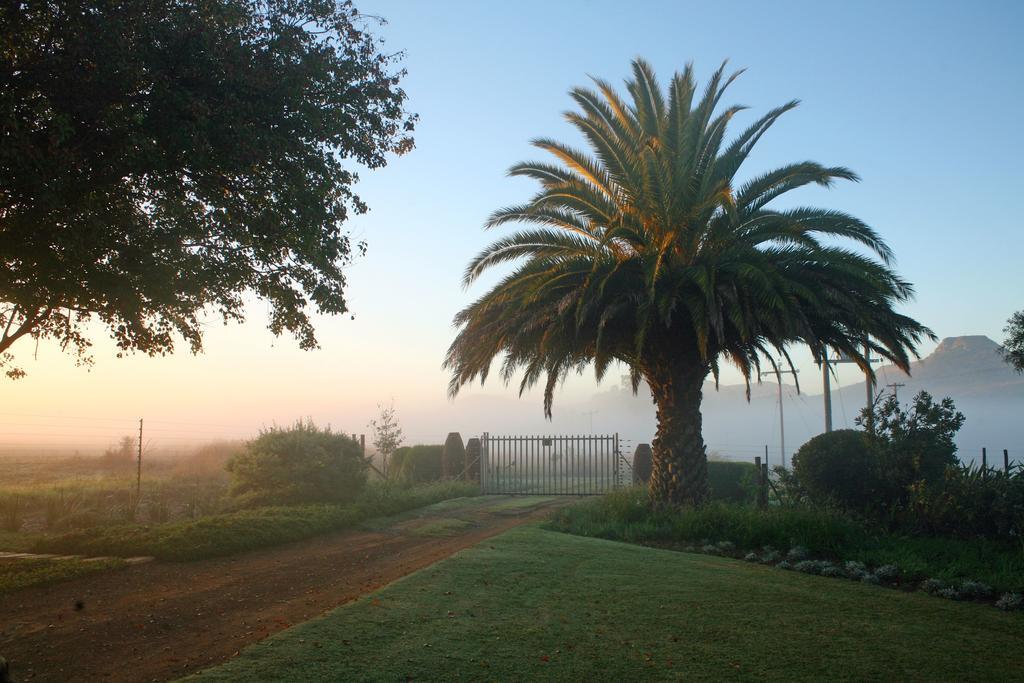 דנדי Sneezewood Farm Bed&Breakfast And Self-Catering Cottage מראה חיצוני תמונה